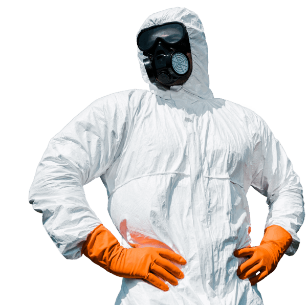 Professional Pest Control in Musheerabad & Zamistanpur. Same-day service