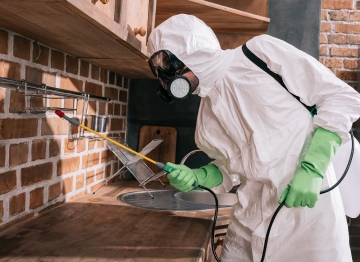 Termite Treatment Musheerabad