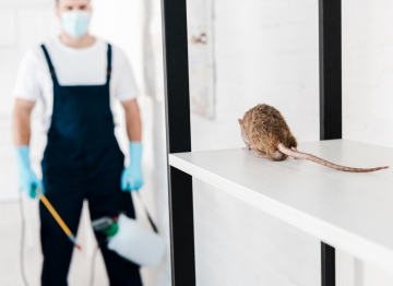 Rodent Control Musheerabad